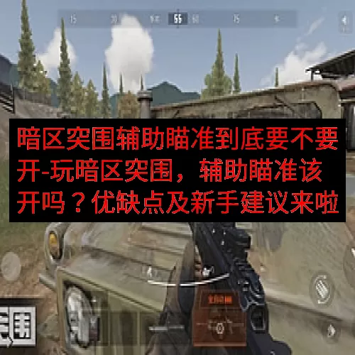 暗区突围辅助瞄准到底要不要开-玩暗区突围，辅助瞄准该开吗？优